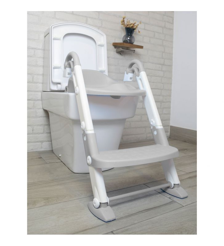 3-in-1-toilet-ladder